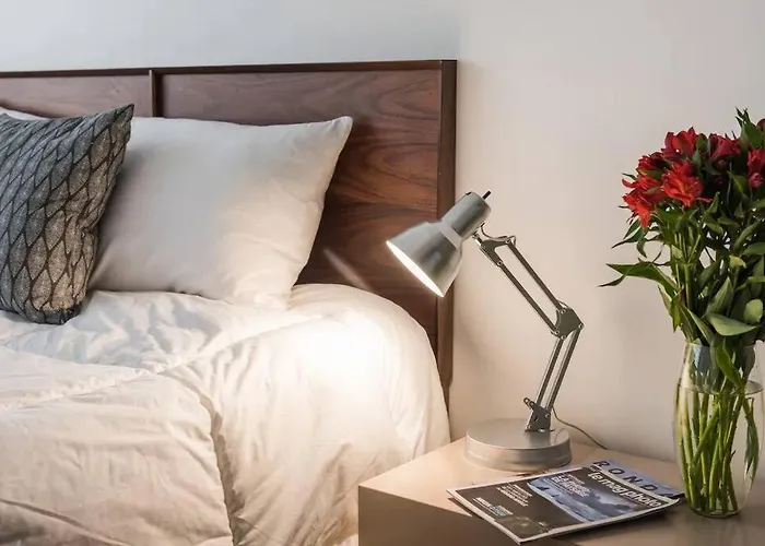 Apartment Condesa Amsterdam E Cozy Living Space In The Heart Of The On Amsterdam Avenue Mexico City