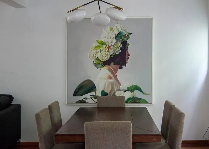 Condesa Amsterdam E Cozy Living Space In The Heart Of The On Amsterdam Avenue * Mexico City