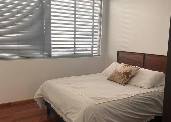 Apartment Condesa Amsterdam E Cozy Living Space In The Heart Of The On Amsterdam Avenue Mexico City